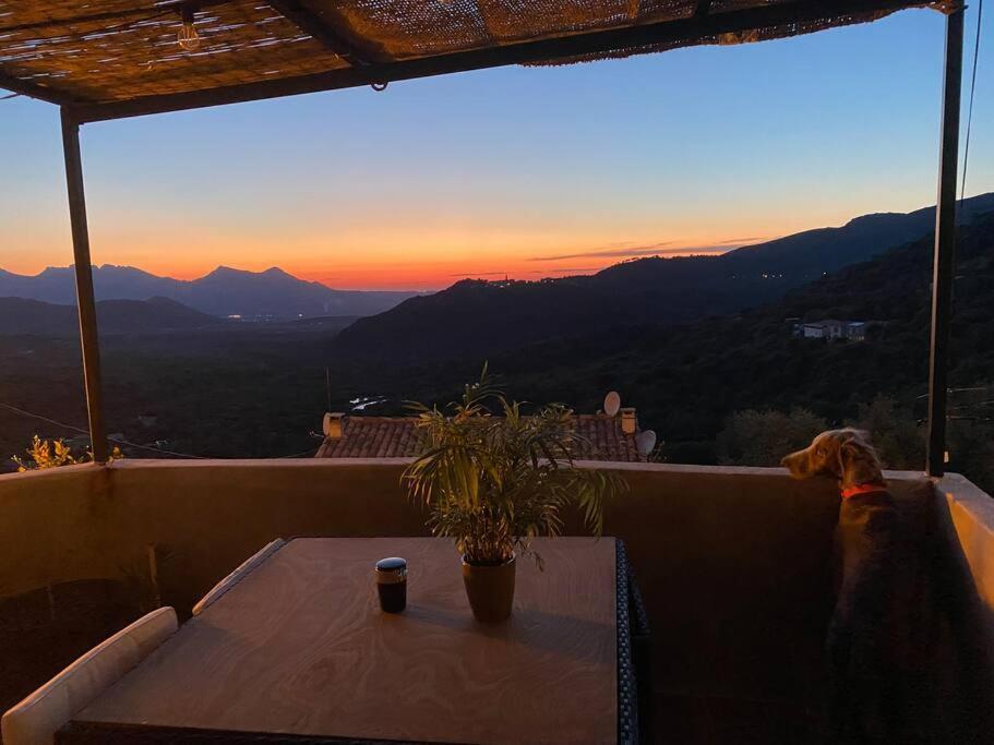 Maison De Caractere, Zilia, Au Pied Du Montegrossu Bagian luar foto